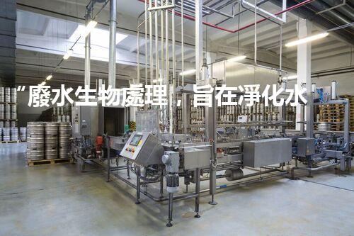 “廢水生物處理，旨在凈化水源，守護(hù)碧水藍(lán)天”
